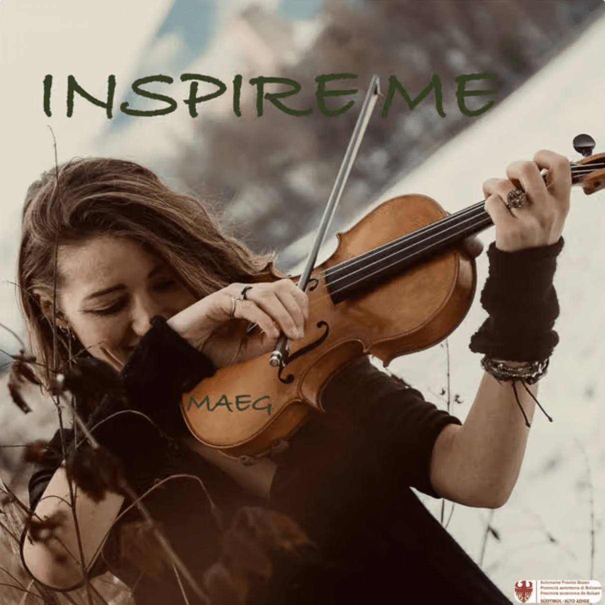 Inspire Me Album